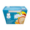 Yogurt-Gerber-Frutas-Mixtas-115-G-Unidad-imagen