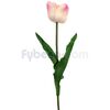 In-The-Garden-Tulipan-Vrake-Rosado-Unidad-imagen