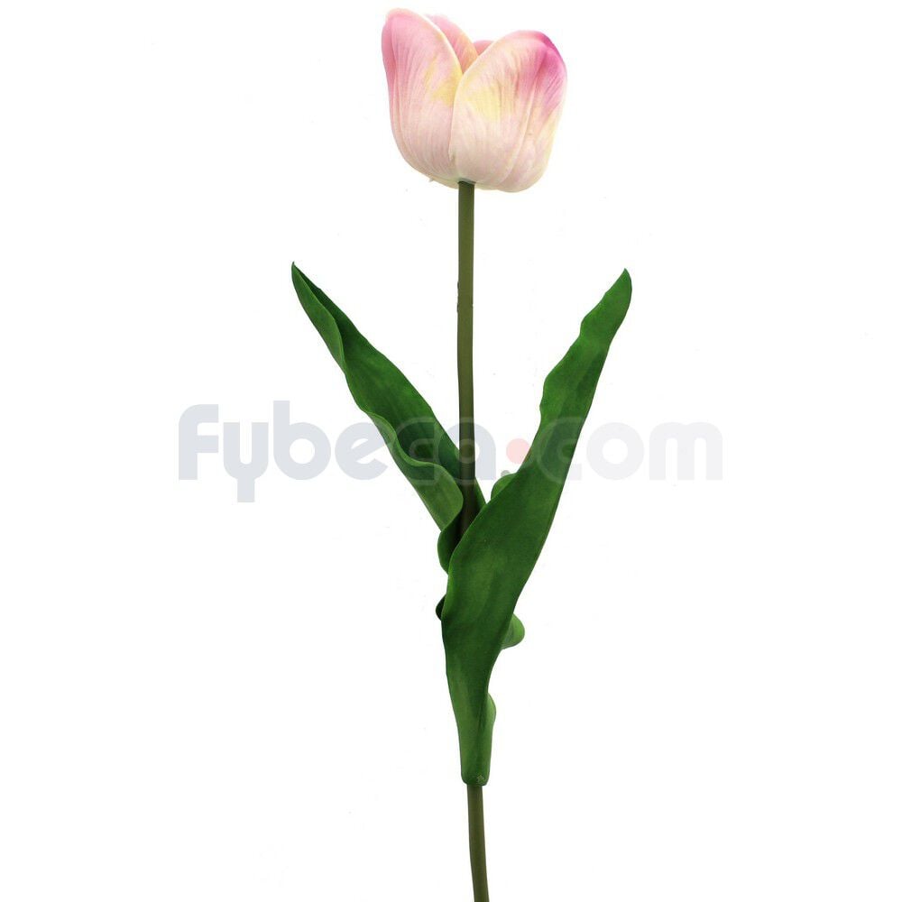 In-The-Garden-Tulipan-Vrake-Rosado-Unidad-imagen