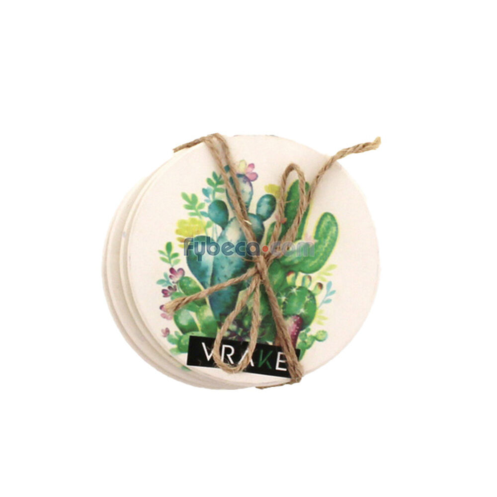 Plato-Decorativo-Cactus-Paquete-imagen