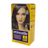 Tinte-Etincelle-Rubio-Oscuro-Cenizo-6.1-100-G-Paquete-imagen