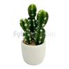Cactus-Con-Maceta-Decorativa-21-Cm-Unidad-imagen