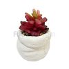 Planta-Artificial-con-Maceta-de-Cemento-Blanca-Decorativa-10.5x10x14-Cm-Unidad-imagen