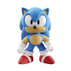 Sonic-The-Hedgehog-Stretch-Unidad-imagen