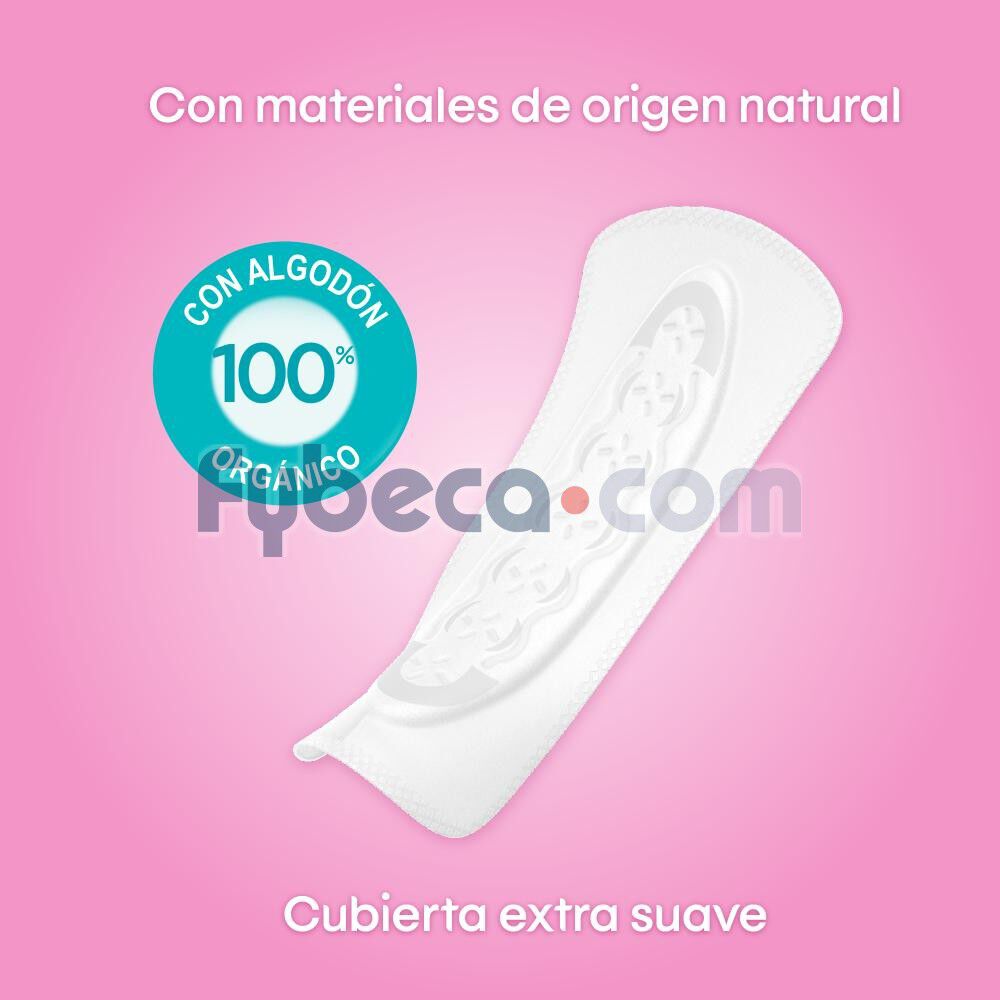 Protectores-Diarios-Kotex-Puro-y-Natural-120-Un-imagen-2