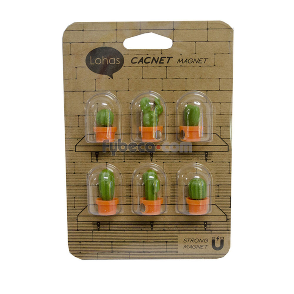 Magnéticos-Diseño-Lohas-De-Cactus-Unidad-imagen