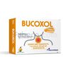 Bucoxol-Miel-&-Limon-Cja-X-10-S-imagen