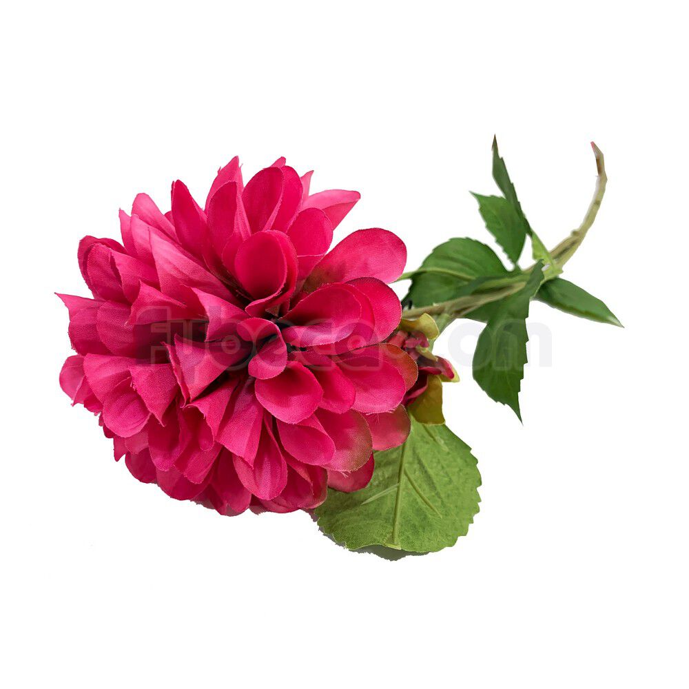 Flor-Dalia-72-Cm-Unidad--imagen