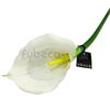 Flor-Cartucho-68-Cm-Unidad-imagen