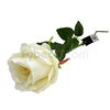 Rosa-Blanca-66-Cm-Unidad--imagen