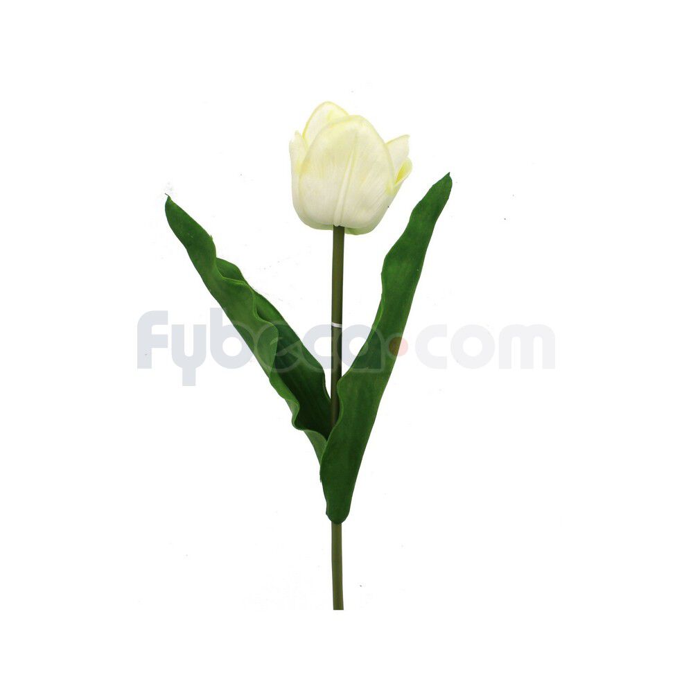 Tulipan-Vrake-Blanco-Unidad-imagen
