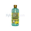Botánica-Shampoo-Avadia-Nutri-Oils-400-Ml-Unidad-imagen