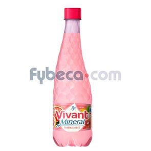 Agua-Vivant-Mineral-Toronja-550cm3-imagen