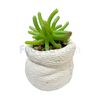 Planta-Artificial-con-Maceta-de-Cemento-Blanca-Decorativa-10.5x10x24-Cm-Unidad-imagen
