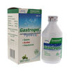 Gastrogel-Suspension-200-Ml--imagen