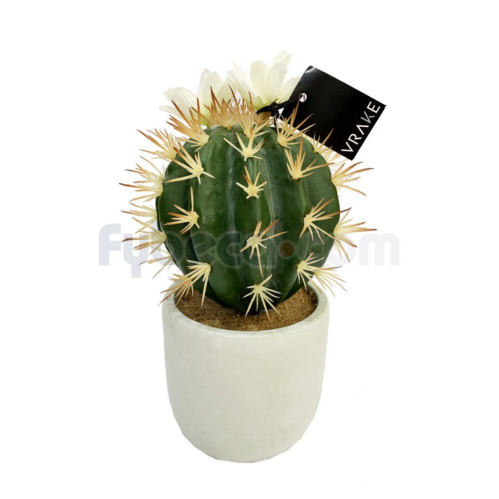Cactus-Con-Maceta-Decorativa-19-Cm-Unidad-imagen