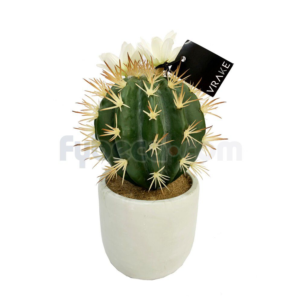 Cactus-Con-Maceta-Blanca-Decorativa-19-Cm-Unidad-imagen