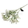 Flor-Gypsophila-68-Cm-Unidad-imagen