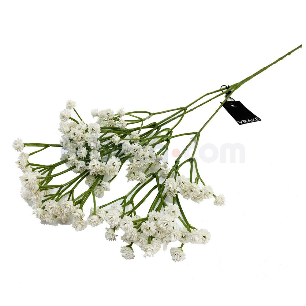 Flor-Gypsophila-68-Cm-Unidad-imagen