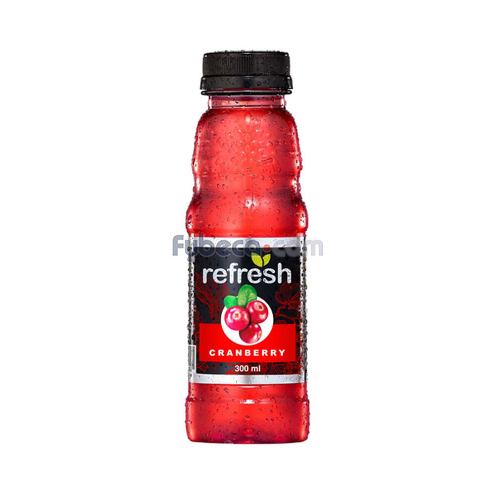Jugo-Cranberry-300-Ml-Botella-Unidad-imagen