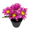 Margaritas-Artificiales-Morada-Con-Maceta-19-Cm-Unidad-imagen