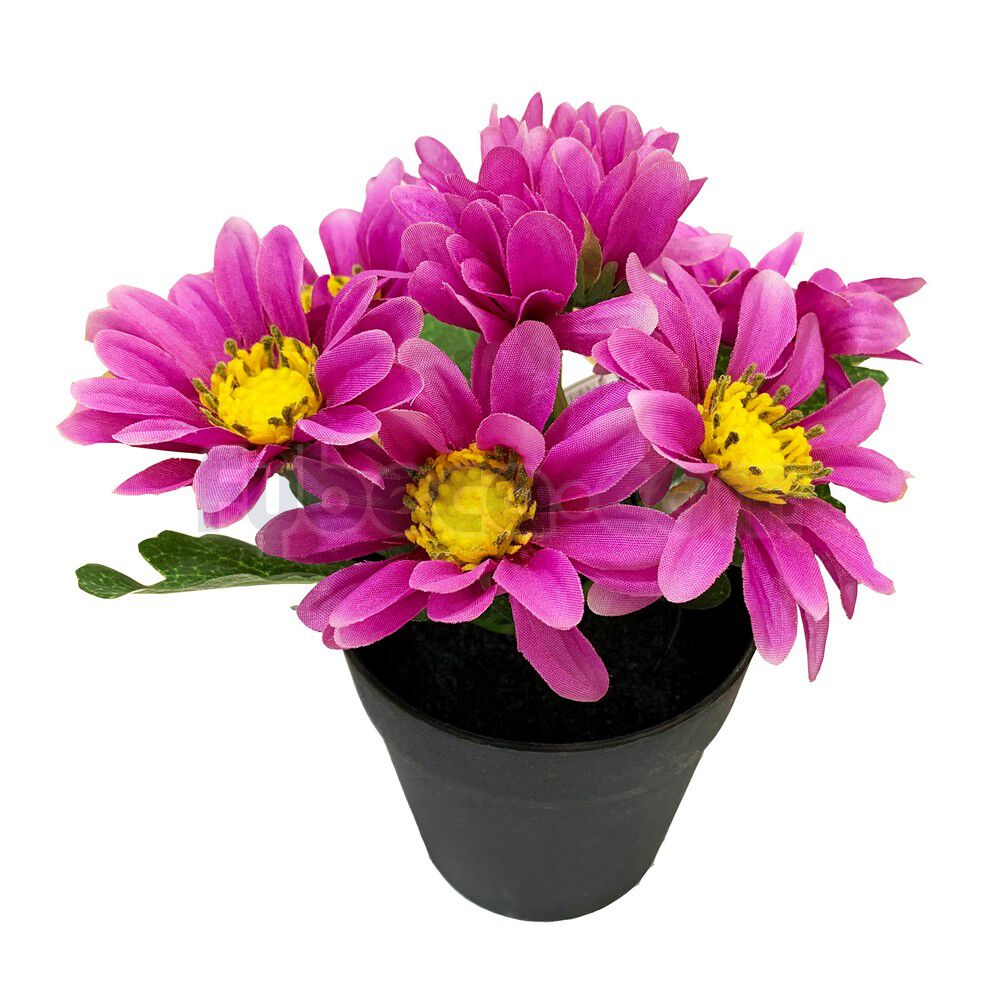 Margaritas-Artificiales-Morada-Con-Maceta-19-Cm-Unidad-imagen