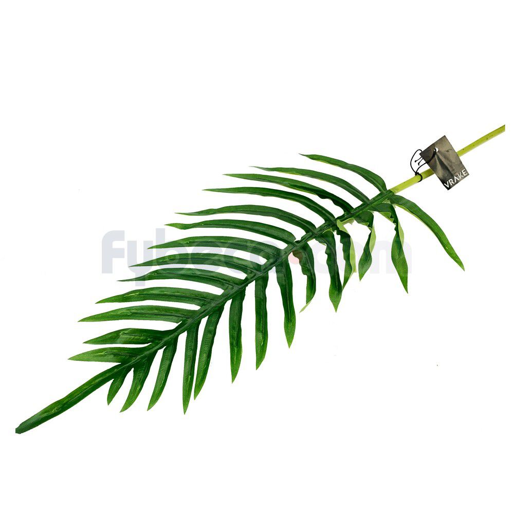 Hoja-Helecho-Toque-Real-85-Cm-Unidad--imagen