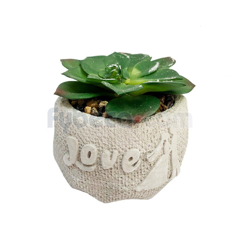 Planta-Artificial-Cactus-con-Maceta-Decorativa-10.5x10x10-Cm-Unidad-imagen