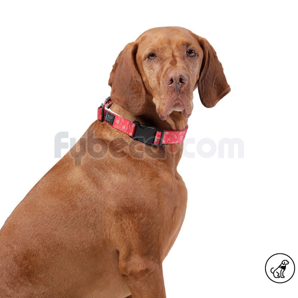 Collar-Ajustable-Mylu-L-imagen-2