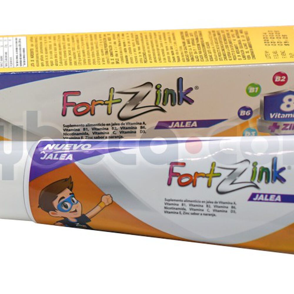 Fortzinc-Jalea-100-Gr-C/1-imagen