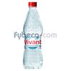 Agua-Sin-Gas-Vivant-625-Ml-imagen