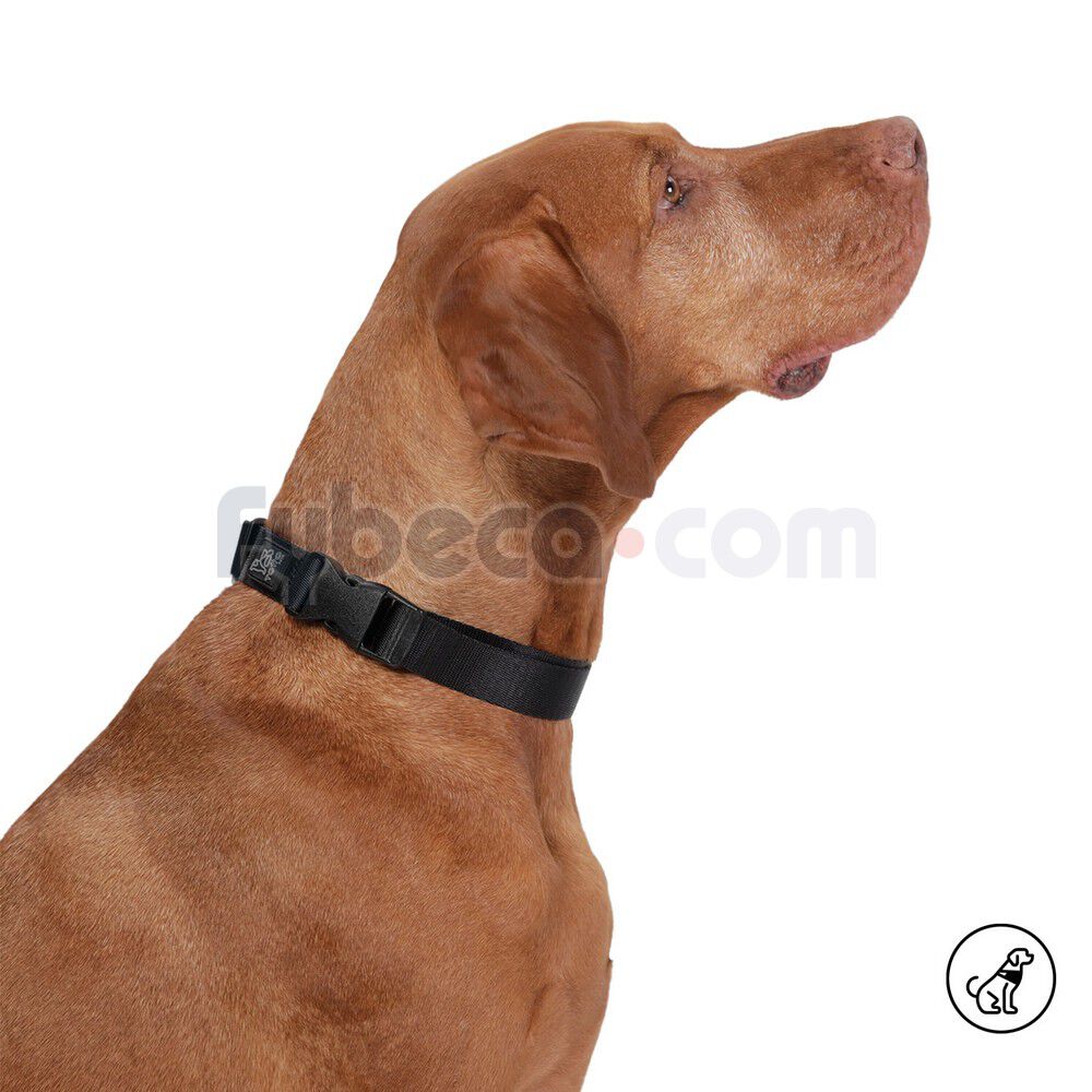 Collar-Ajustable-Mylu-L--imagen-2