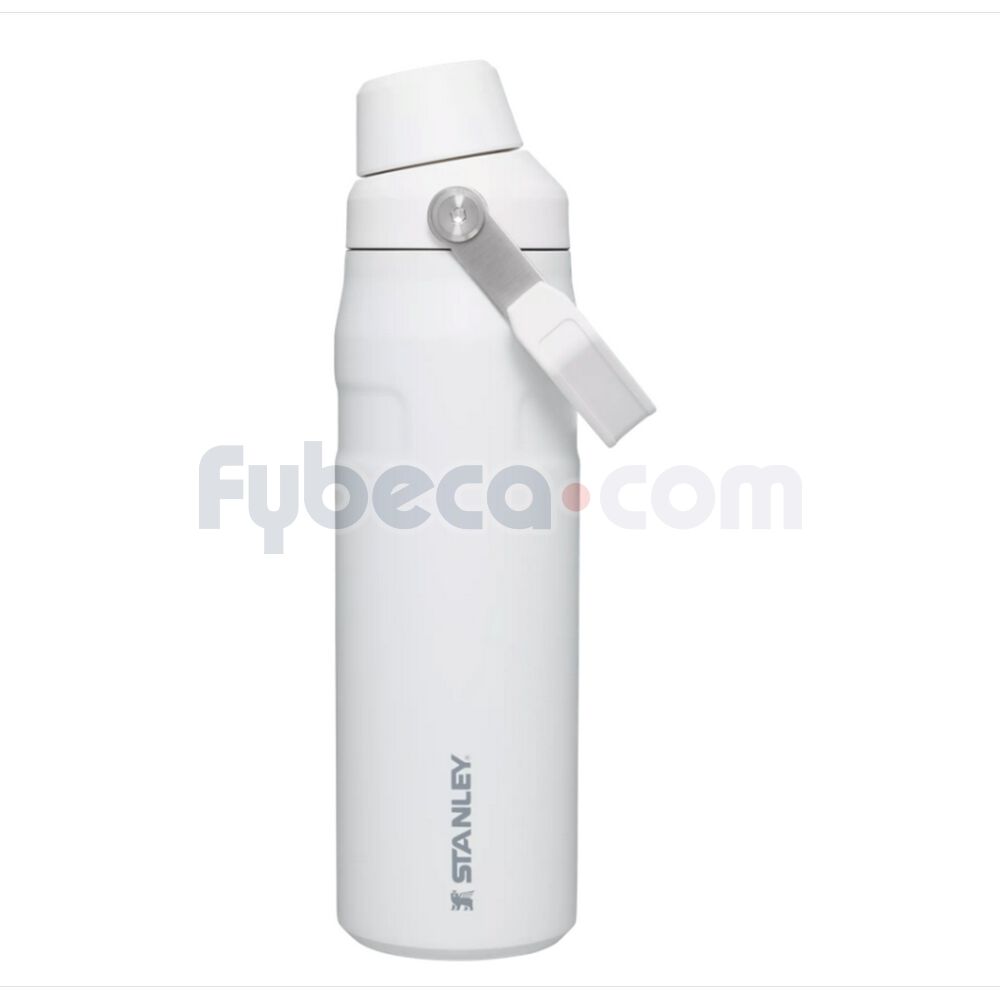 Termo--Fast-Flow-Lid-24Oz-Polar--imagen