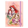 Libreta-Ideal-Pd-Princesas-80-Hjs-Cuadros-imagen