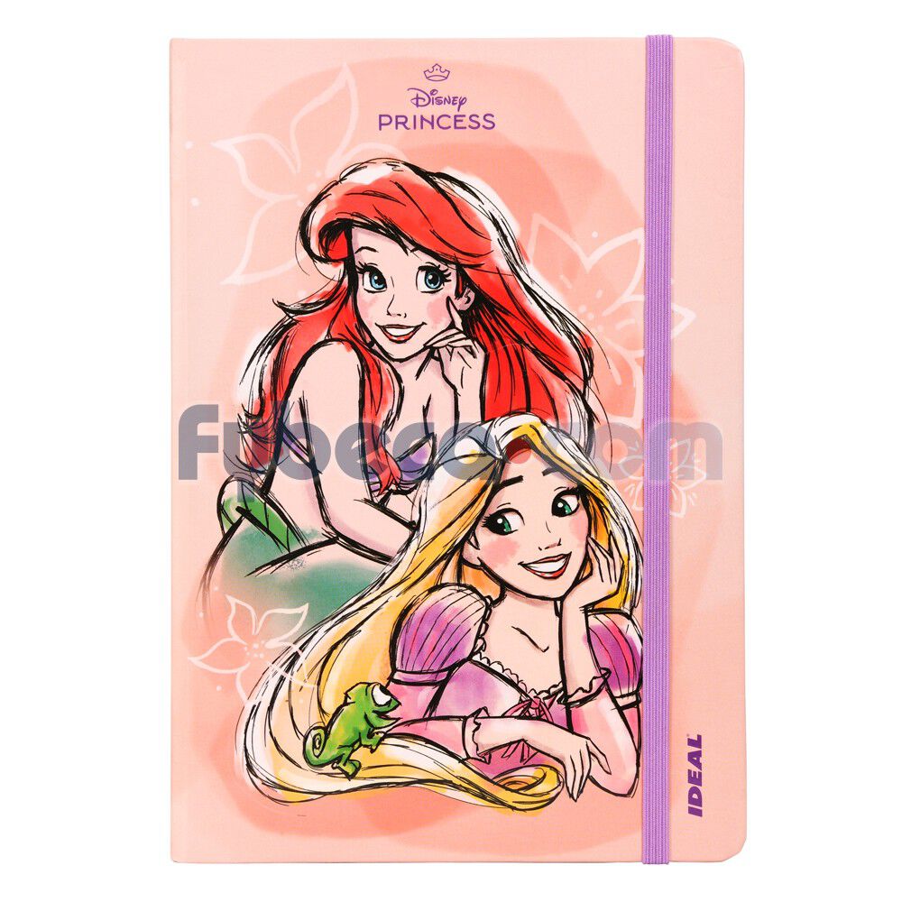 Libreta-Ideal-Pd-Princesas-80-Hjs-Cuadros-imagen