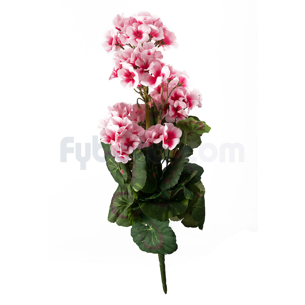 Flor Geranio Vrake Rosado Unidad | Fybeca