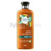 Shampo-Herbal-Essences-Bio:Renew-Smooth-Golden-Moringa-Oil-400Ml-imagen