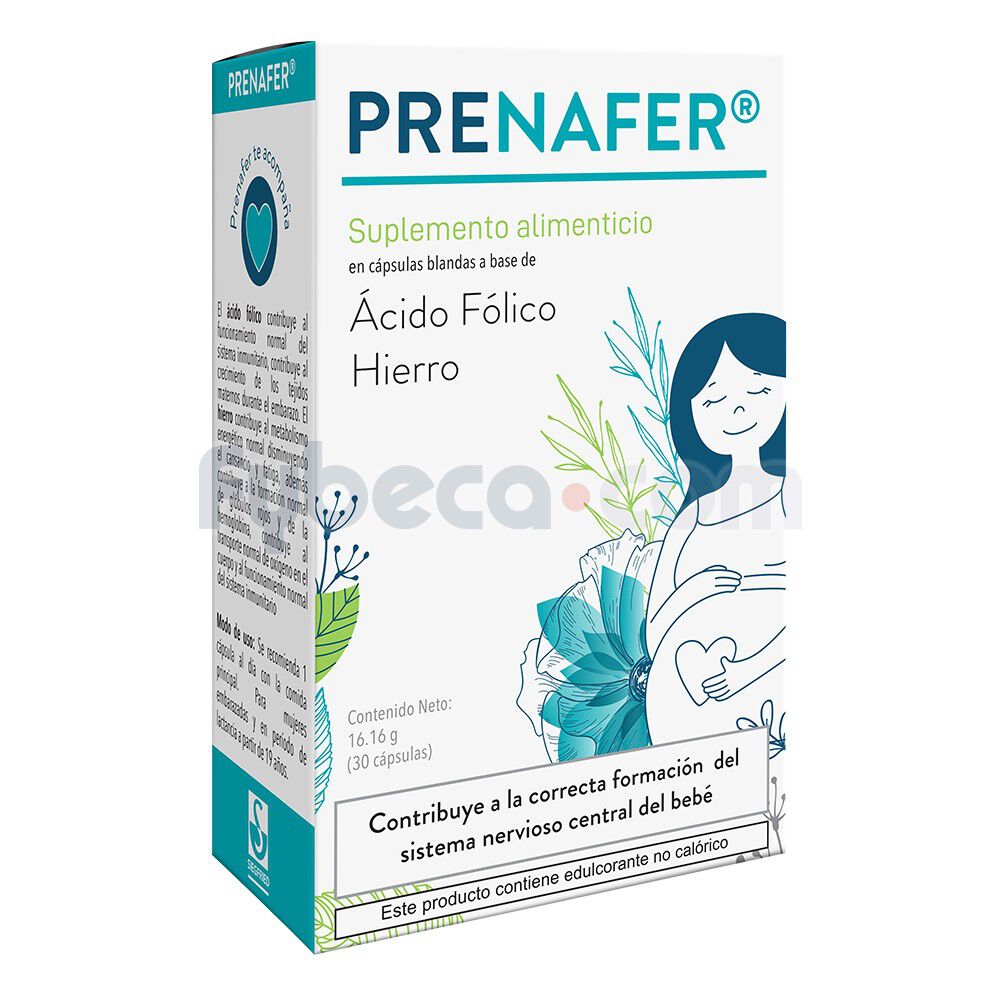 No pretencioso Patriótico conversacion Suplemento Alimenticio Ácido Fólico Y Hierro 1 Cápsula Unidad | Fybeca
