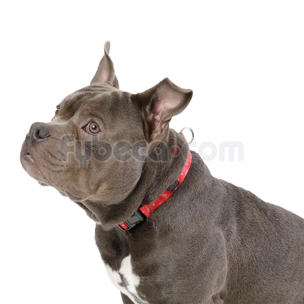 Collar-Ajustable-Mylu-M--imagen-2