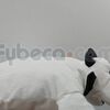 Peluche-Almohada-45-cm-imagen