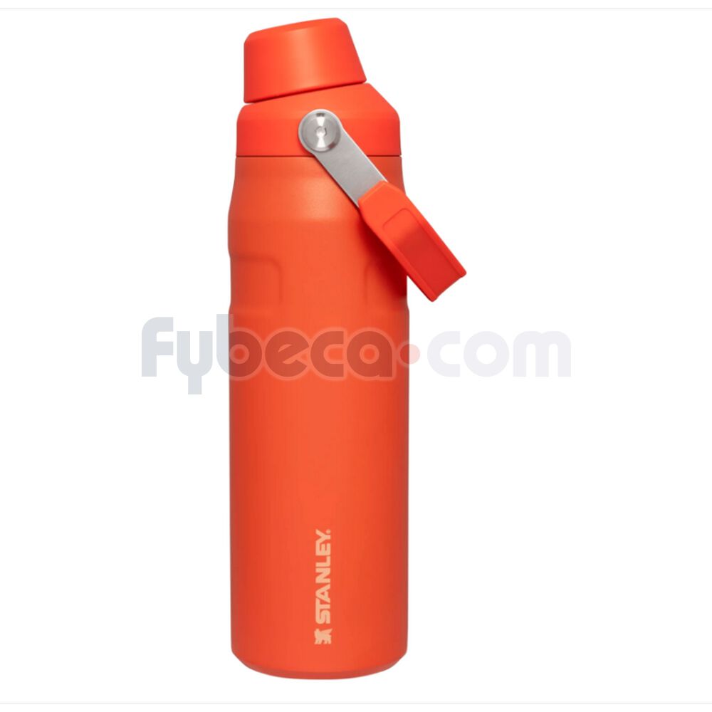 Termo--Fast-Flow-Lid-24Oz-Tigerlily-imagen