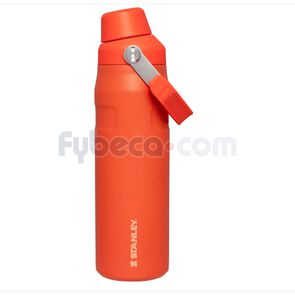 Termo--Fast-Flow-Lid-24Oz-Tigerlily-imagen