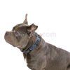Collar-Ajustable-Mylu-M--imagen-2