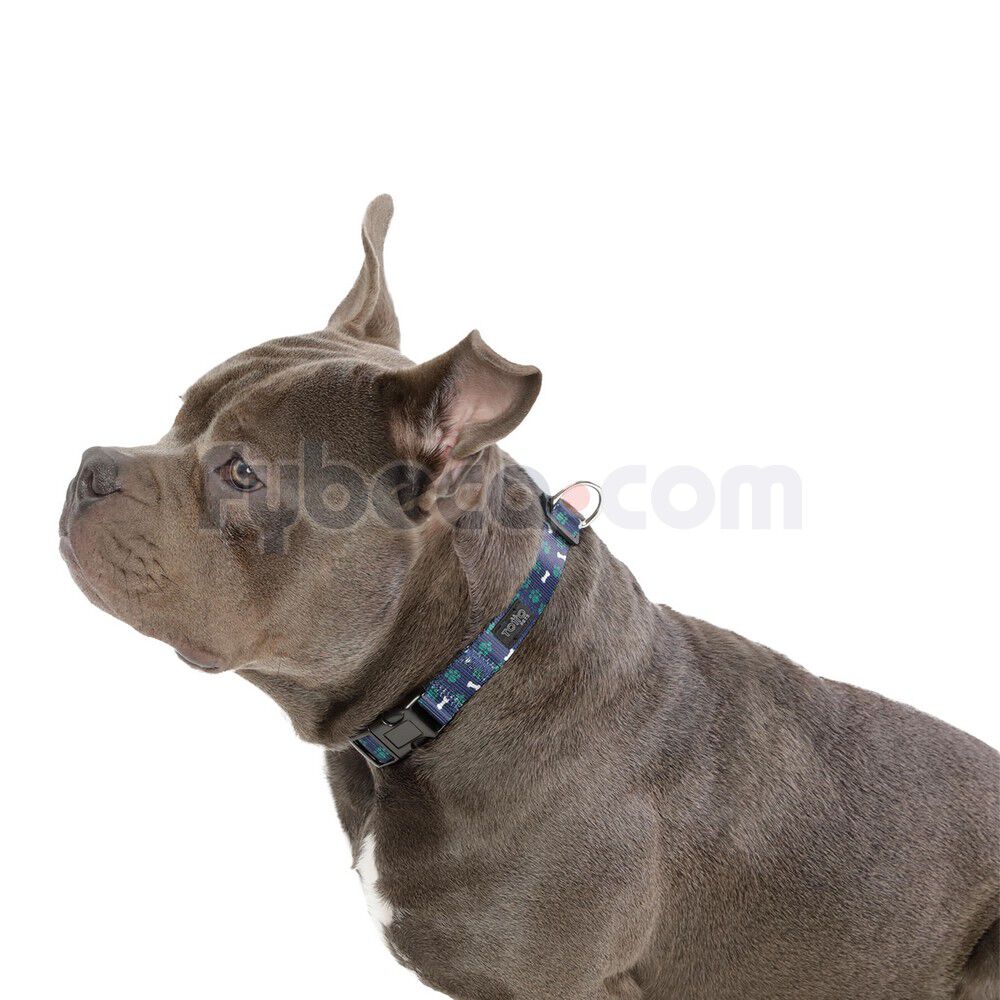 Collar-Ajustable-Mylu-M--imagen-2