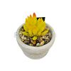 Planta-Artificial-con-Maceta-de-Cemento-Decorativa-Tonos-Amarillos-10.5x10x15-Cm-Unidad-imagen
