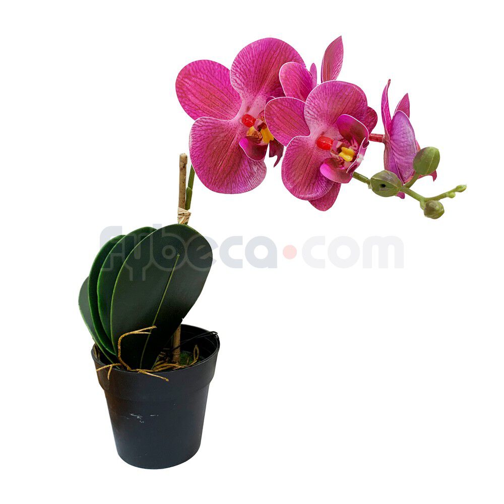 Orquídea Artificial Morada Con Maceta 35 Cm Unidad | Fybeca