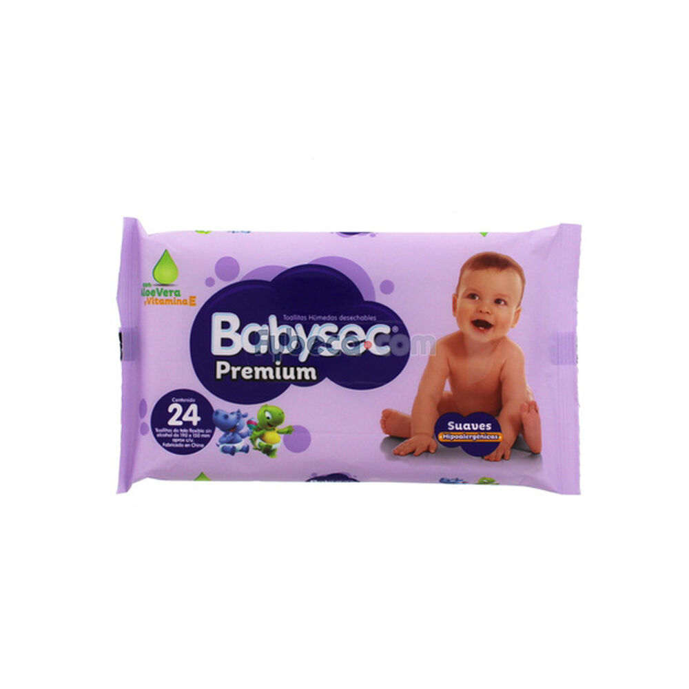 Pa&ntilde;itos-H&uacute;medos-Babysec-Premium-Paquete-imagen