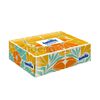 Pañuelos-Faciales-Familia-Caja-X50-imagen