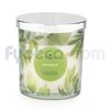 Monicandles-Vela-Envase-Tapa-Plateada-241G-Botanical-imagen