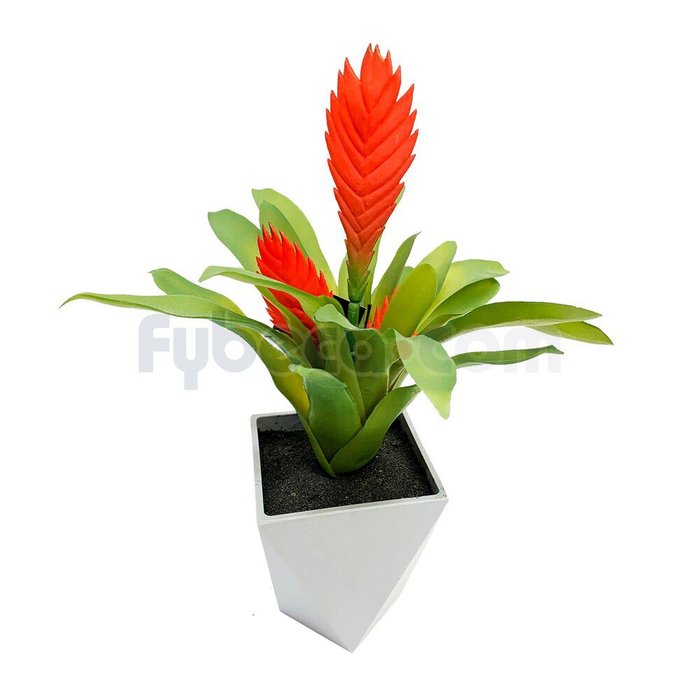 Suculenta-Roja-Con-Maceta-34-Cm-Unidad-imagen